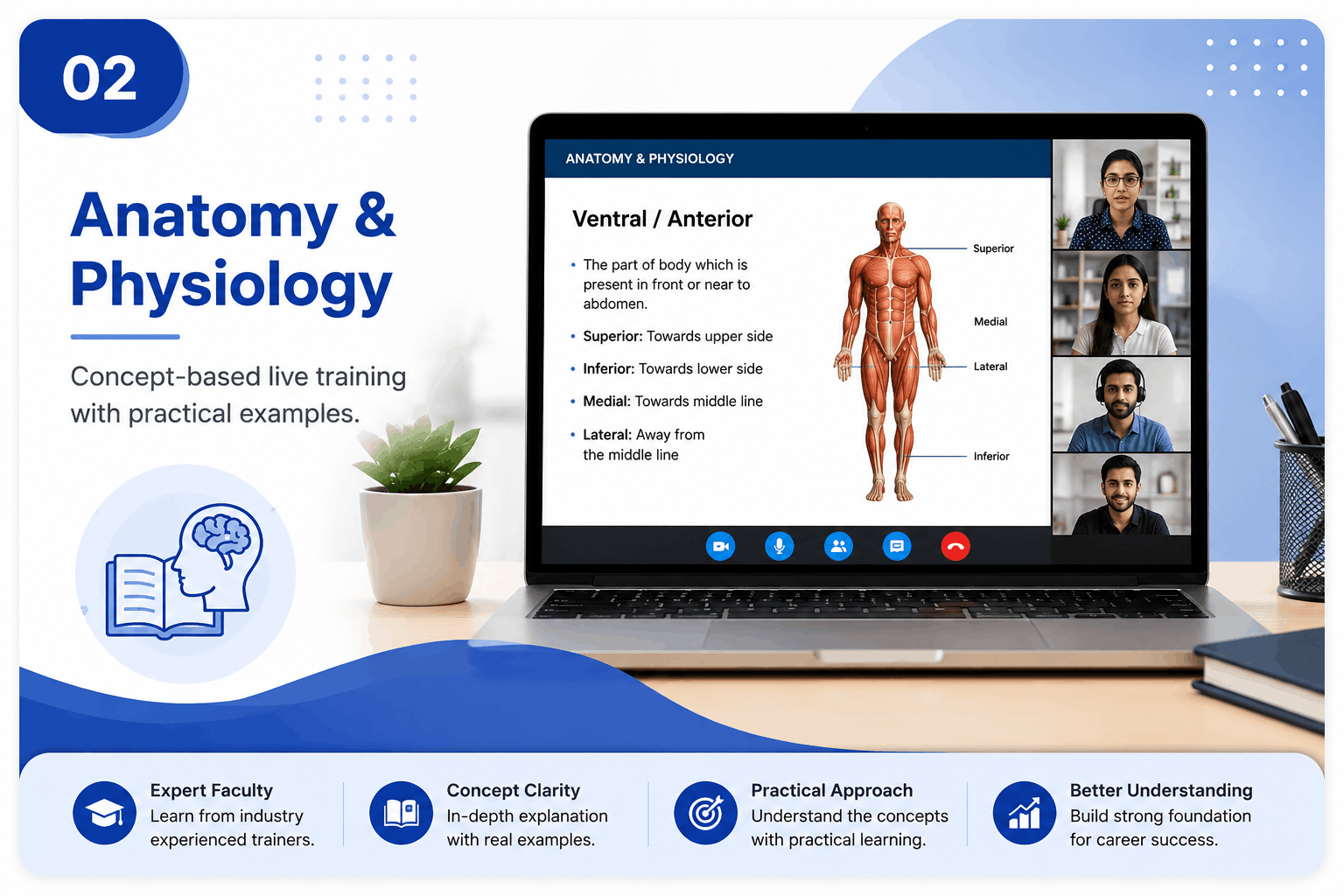 Anatomy training
